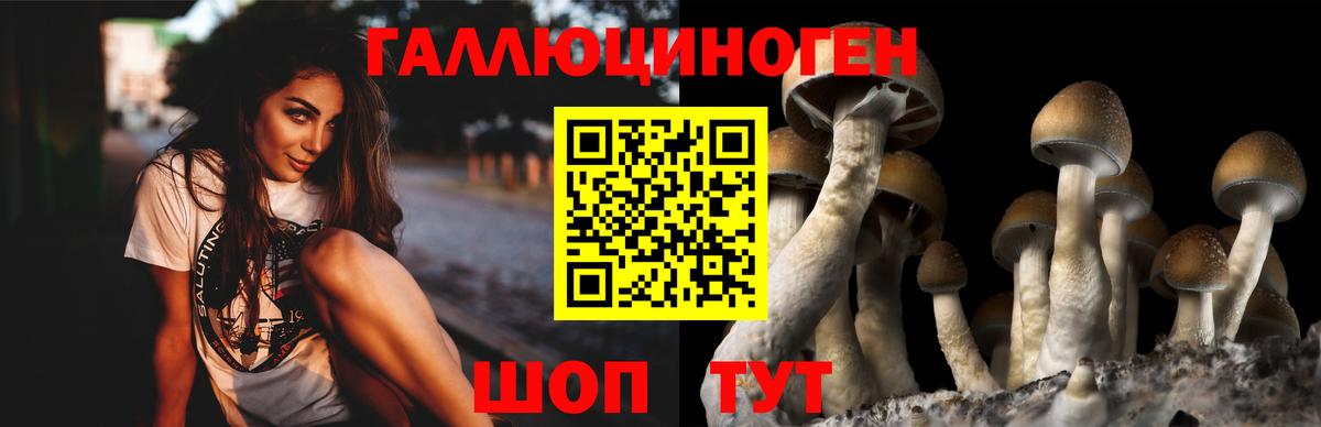 Псилоцибиновые грибы мухоморы  Псилоцибиновые грибы Magic Shrooms  Вход с VPN  Долгопрудный 