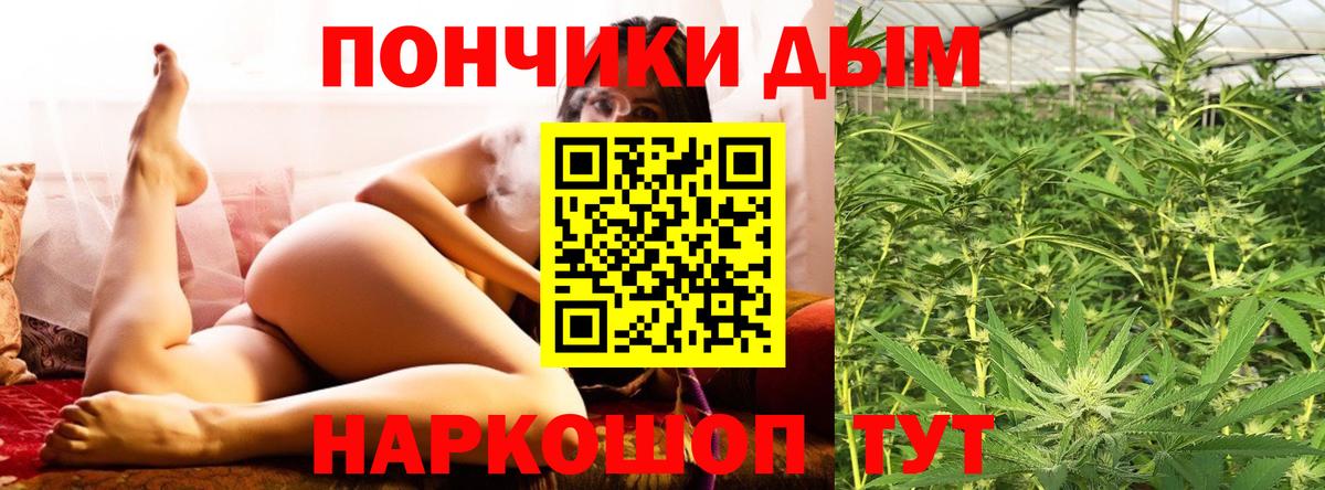 Бошки Шишки план Долгопрудный